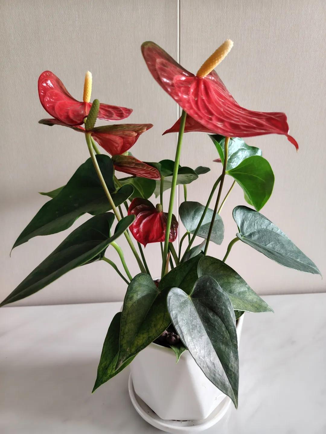 受不了二手烟？居民楼楼道吸烟投诉多，试试友好沟通提诉求