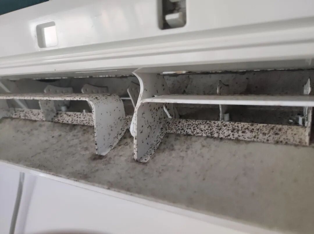 家里8个“巨脏无比”的物品，看完破防了！我家居然每天都在用_家里8个“巨脏无比”的物品，看完破防了！我家居然每天都在用_