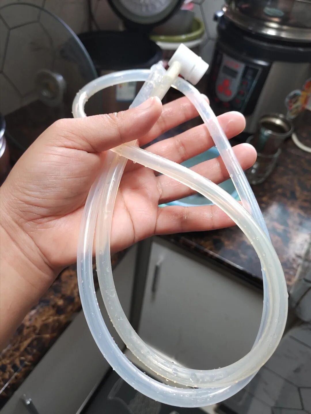 家里8个“巨脏无比”的物品，看完破防了！我家居然每天都在用_家里8个“巨脏无比”的物品，看完破防了！我家居然每天都在用_