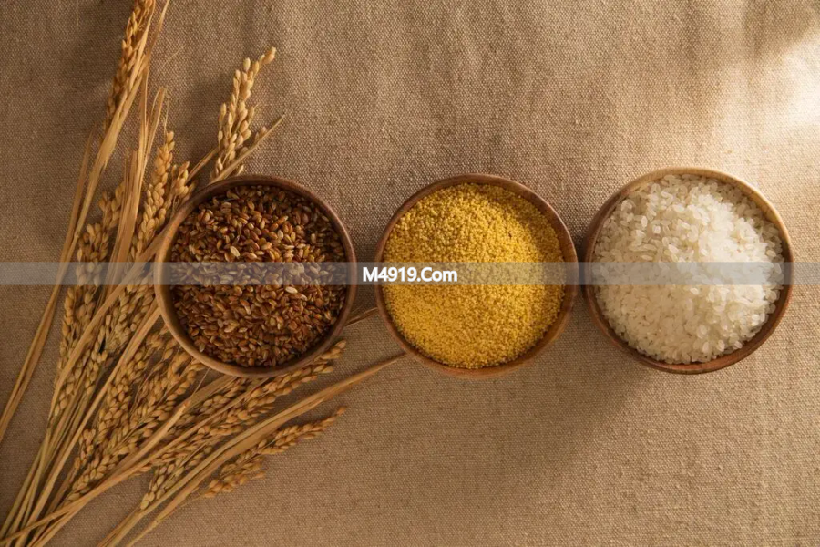 如何选健康外卖？牢记点餐窍门，让外卖成身体营养助力