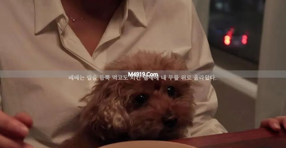 _独居女生都遇到过什么_独居女孩很危险吗