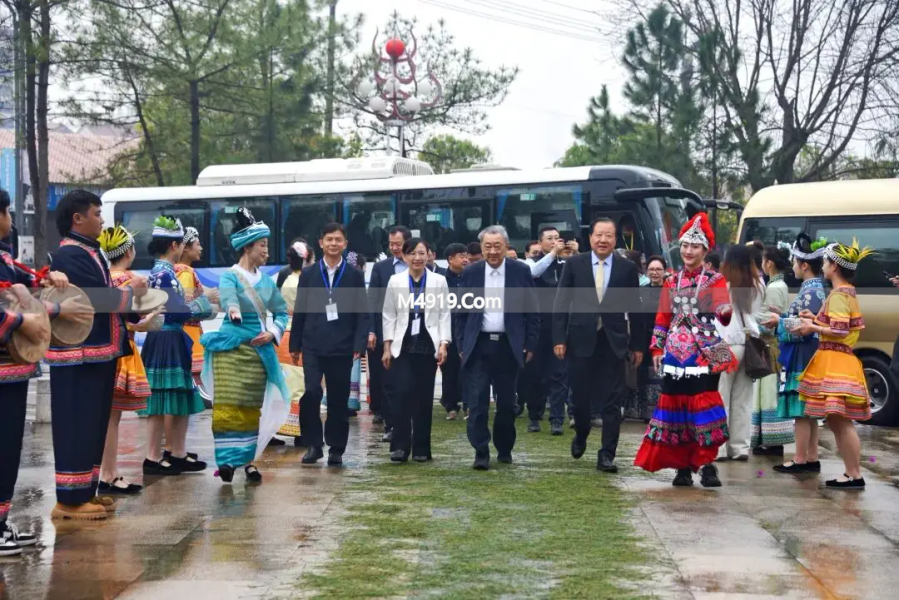 景谷大白茶开采仪式举行，众多领导嘉宾出席