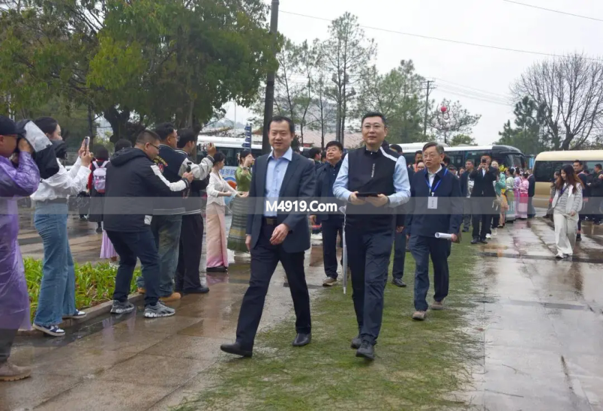 景谷大白茶开采仪式举行，众多领导嘉宾出席