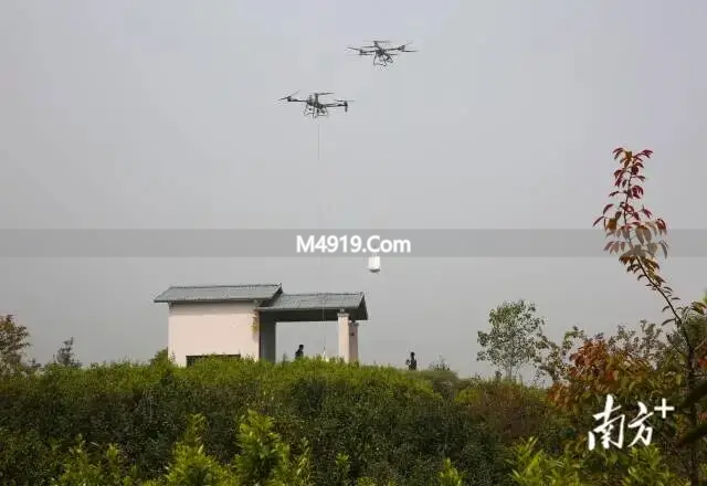 饶平春茶行天下：两岸茶文化交流，推动茶叶产业发展