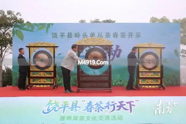饶平春茶行天下：两岸茶文化交流，推动茶叶产业发展