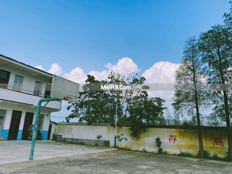 农村学校越来越少 孩子上学远又贵