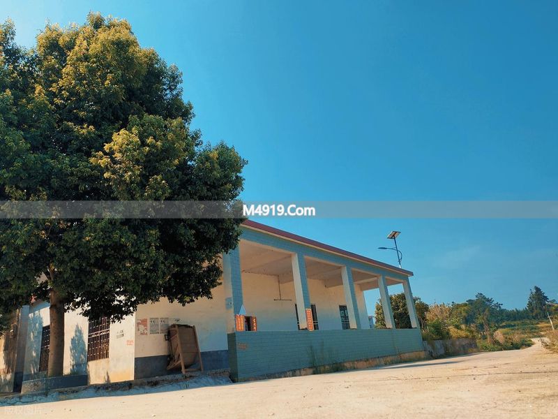 农村学校越来越少 孩子上学远又贵