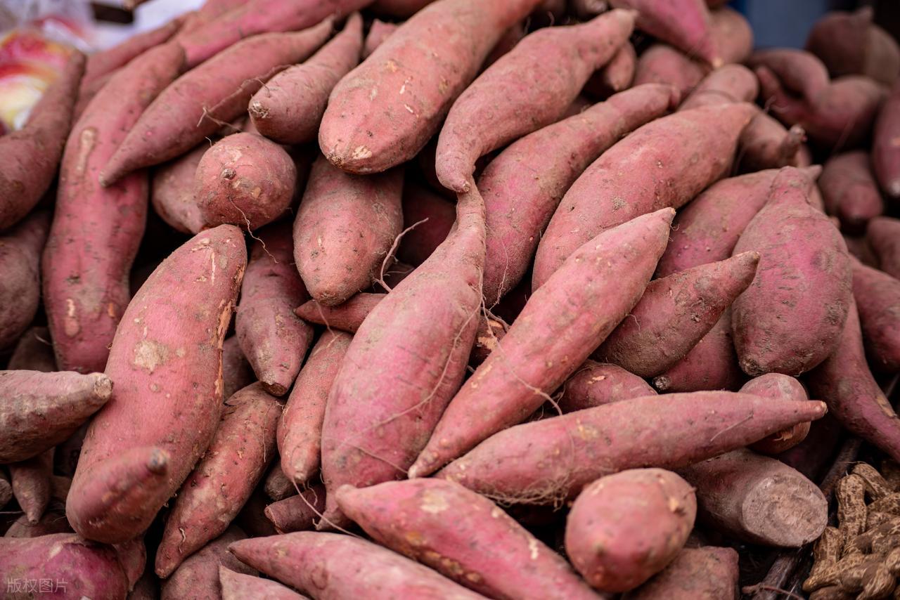 冬至时节少吃羊肉豆腐，多吃这3样养阳御寒好过冬