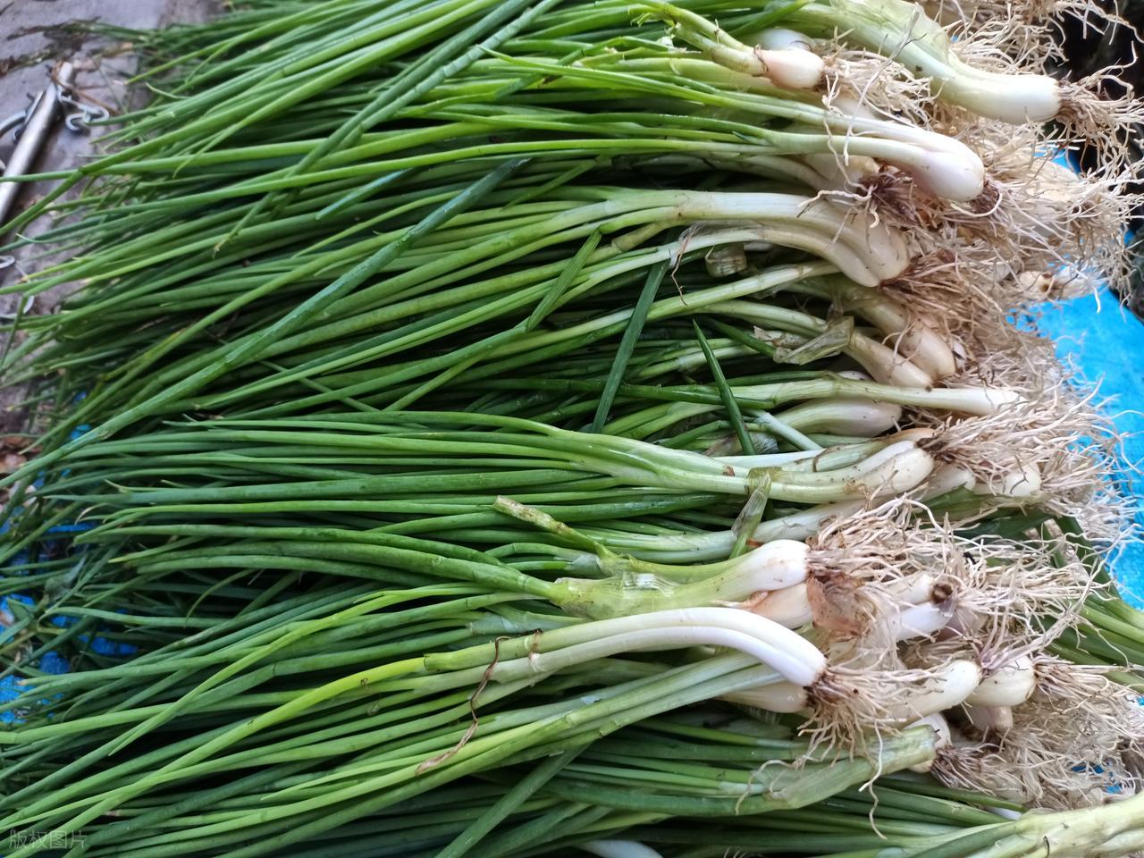 _羊肉与冻豆腐一起吃的功效_羊肉冻豆腐