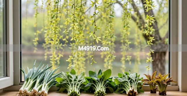 春菜上市正鲜嫩 韭菜马兰头香椿怎样挑