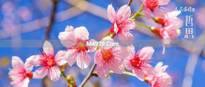 人民日报人民论坛精选__论坛每日人民推荐月刊怎么写