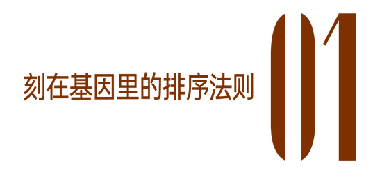 从电影镖人阿育娅看女强，咱能学到大女主秘籍吗？
