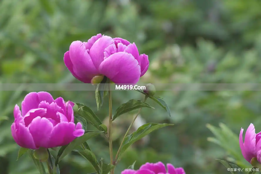 真心爱过的人，一辈子都不会忘记