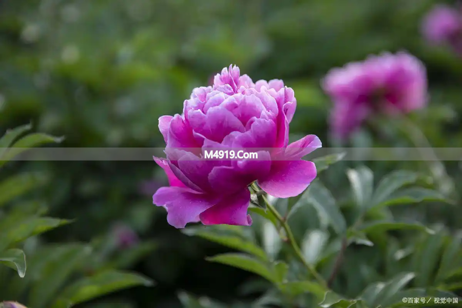 真心爱过的人，一辈子都不会忘记