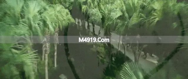 五一假期旅游指南_五一假期澳门_