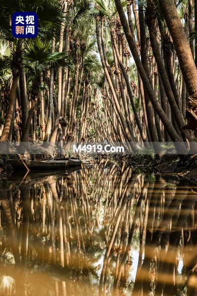 _五一假期旅游指南_五一假期澳门