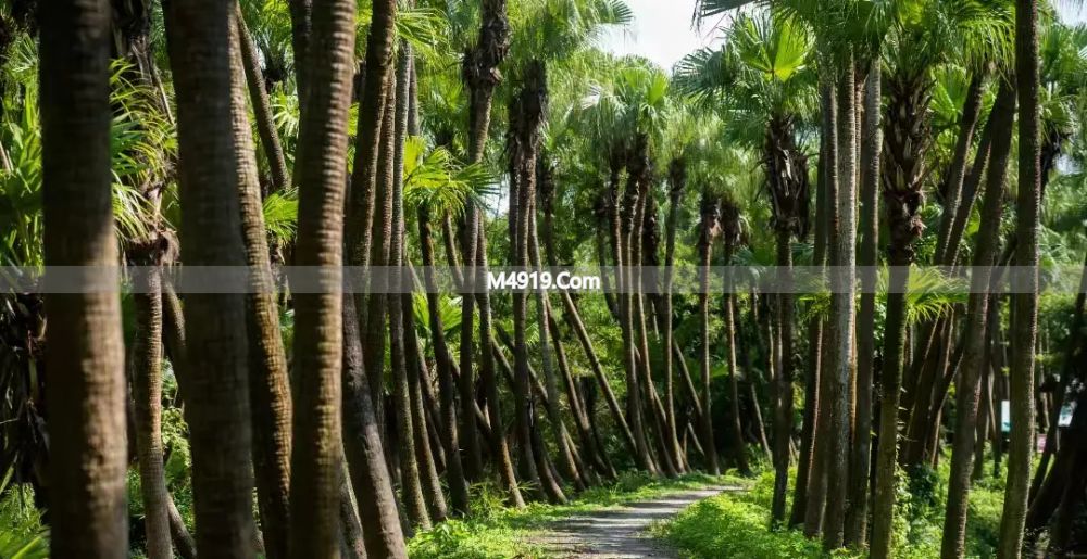 五一假期澳门__五一假期旅游指南