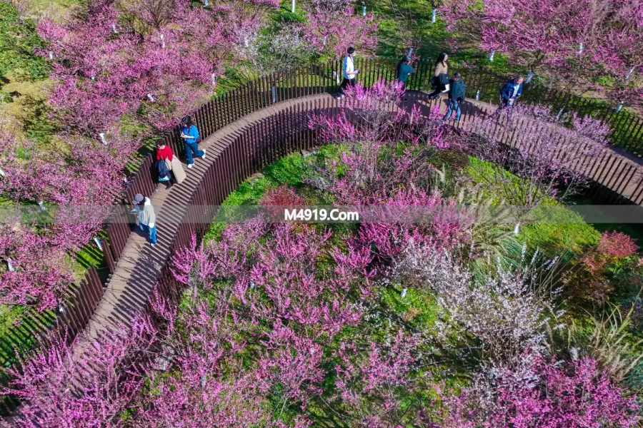 亲爱的，一生一世只爱你一人，好想和你在一起