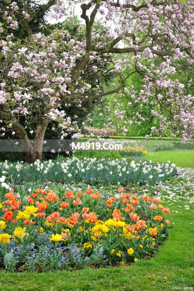 亲爱的，一生一世只爱你一人，好想和你在一起