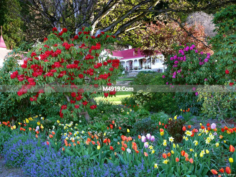 亲爱的，一生一世只爱你一人，好想和你在一起