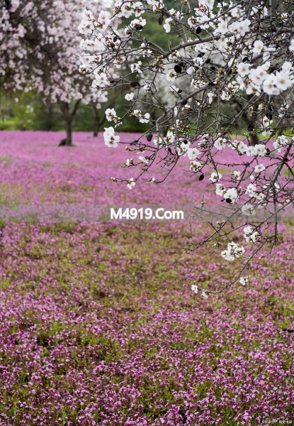 亲爱的，一生一世只爱你一人，好想和你在一起