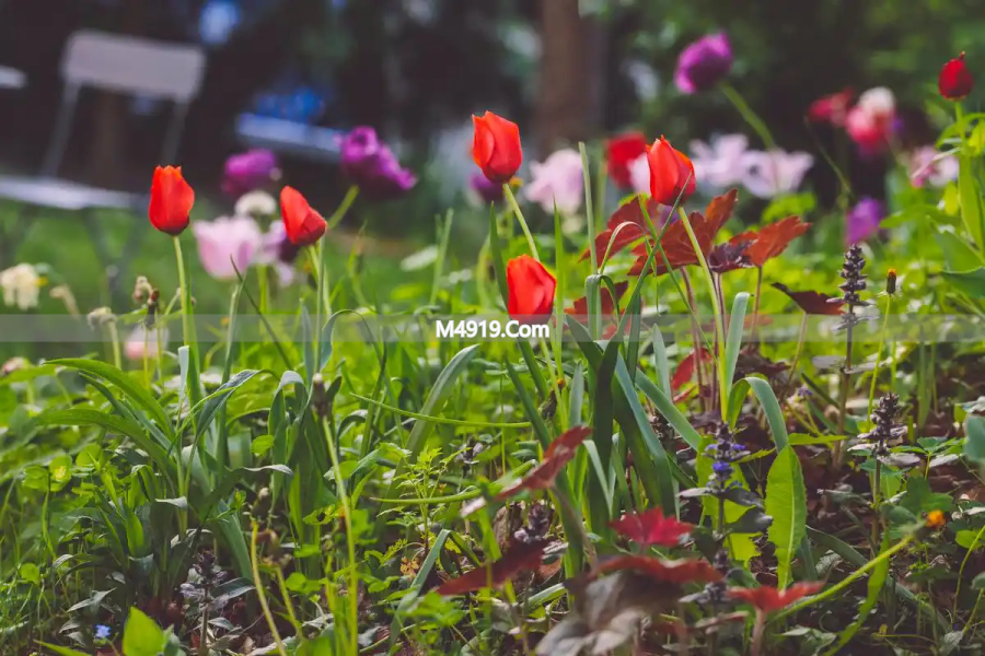 我是真的爱你，好想和你牵手一辈子