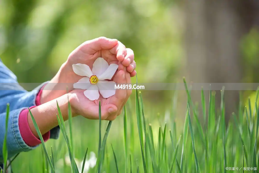 我是真的爱你，好想和你牵手一辈子