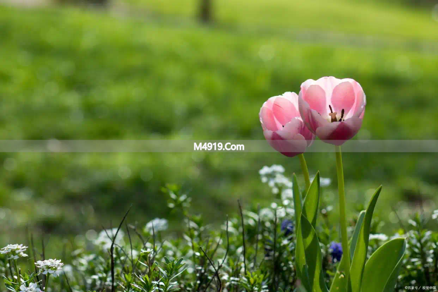 我是真的爱你，好想和你牵手一辈子